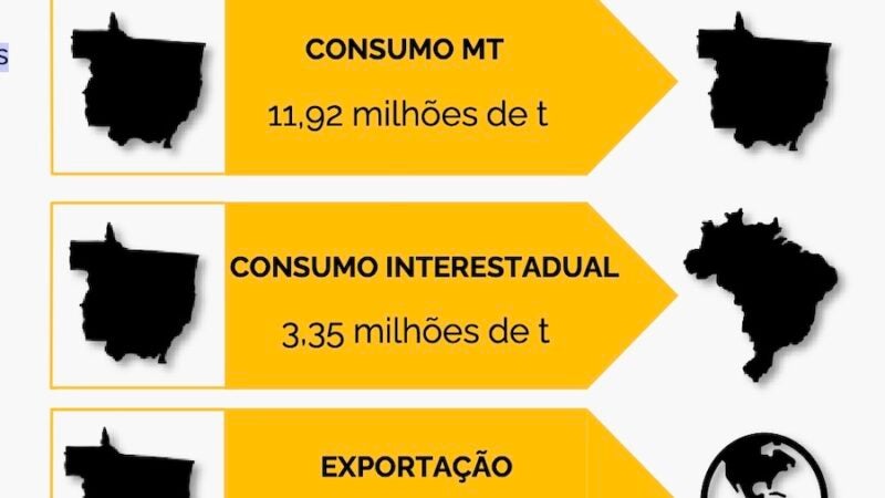 Queda na produção de milho em Mato Grosso diminuiu 3,4% oferta, aponta levantamento do Imea
