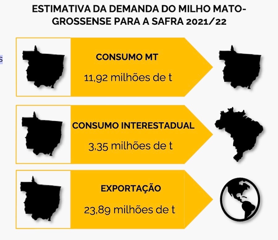 Queda na produção de milho em Mato Grosso diminuiu 3,4% oferta, aponta levantamento do Imea