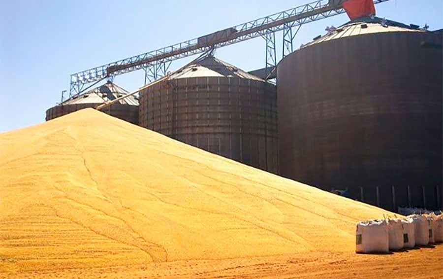 Preço da soja disponível em Mato Grosso aumenta depois de duas semanas de queda