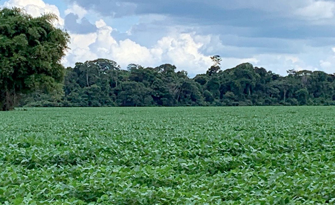 Aumento no preço de fertilizantes faz custo operacional da safra da soja em MT crescer 54%