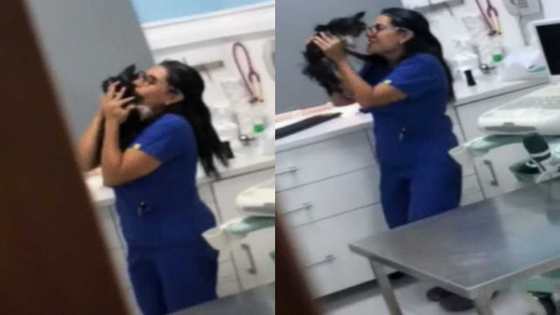Veterinária é flagrada em momento fofo, dançando com cãozinho em clínica
