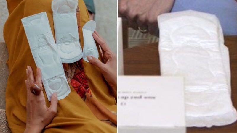 Brasileiras criam absorvente orgânico que não provoca alergia