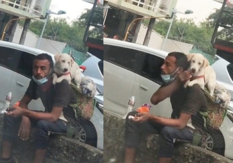Ambulante divide comida com cachorrinho na rua e emociona redes. Vídeo