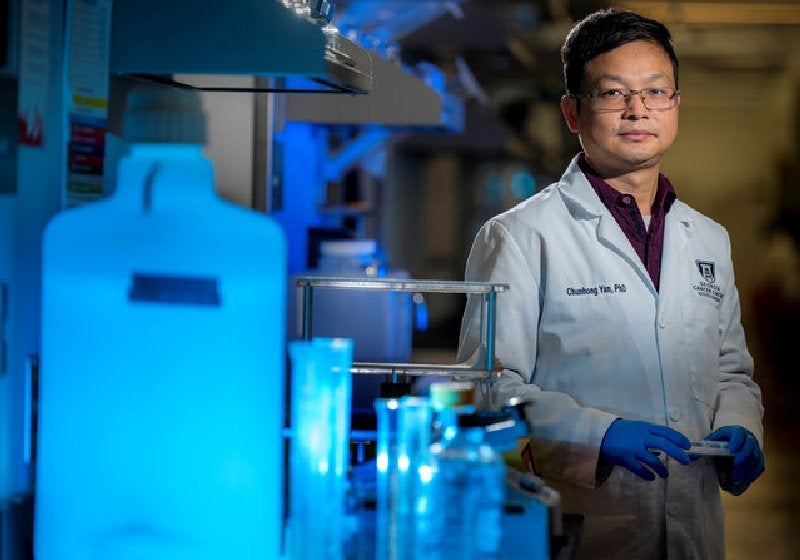 Câncer de próstata: composto de Ferro pode matar células resistentes