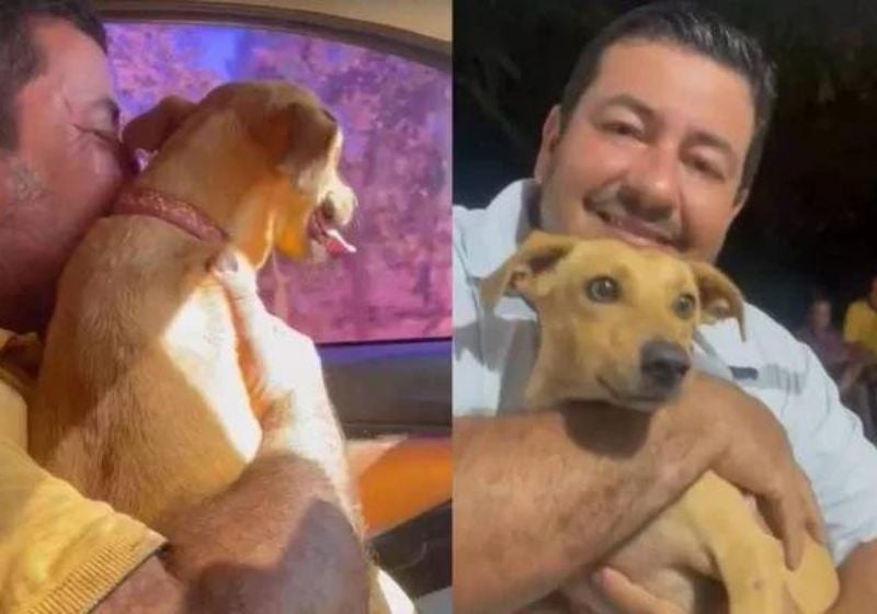 Homem chora e faz churrasco para comemorar volta de caramelo sumido. VÍDEO