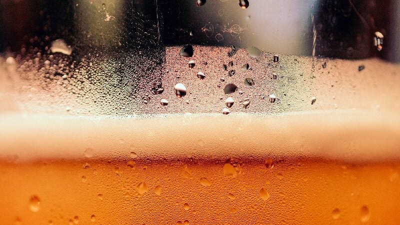 Cerveja reforça bactérias benéficas e melhora saúde intestinal