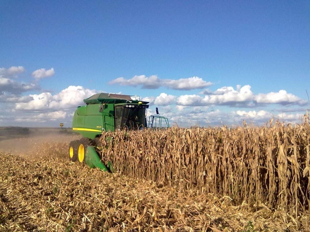 Em Mato Grosso a colheita do milho segue em ritmo acelerado