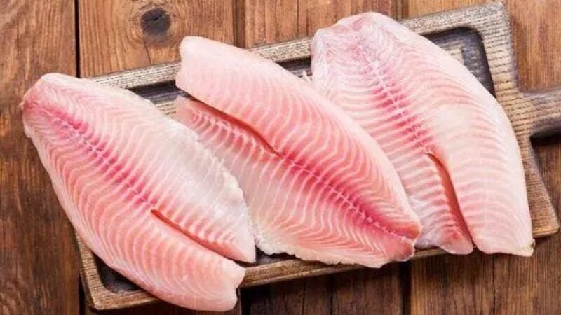 Startup brasileira cria filé de peixe em laboratório! Alimento sem abate animal