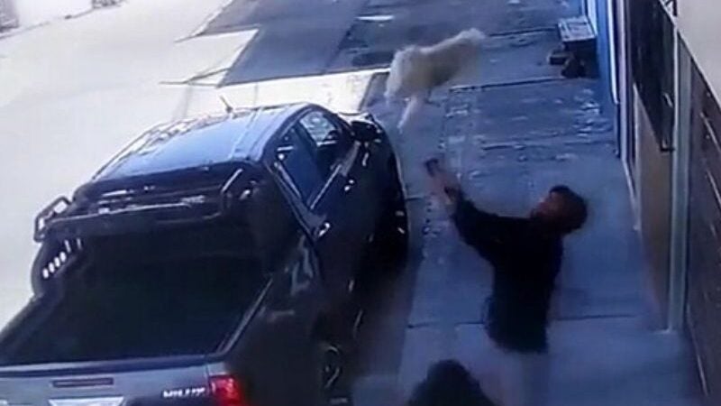 Jovem age rápido e salva cachorra que caiu do 4º andar. Assista!