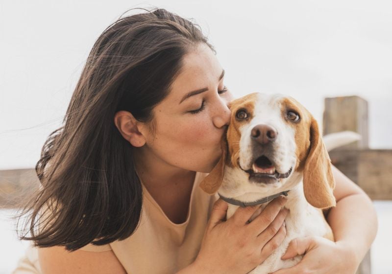 Licença PETernidade dá folga para ‘pais de pets’ e incentiva a adoção de animais