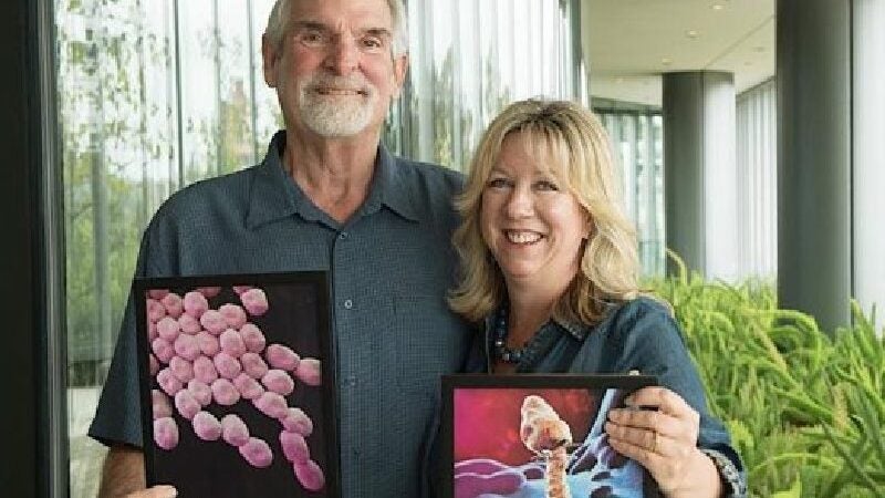 Superbactérias: mulher descobre tratamento natural e salva marido em coma