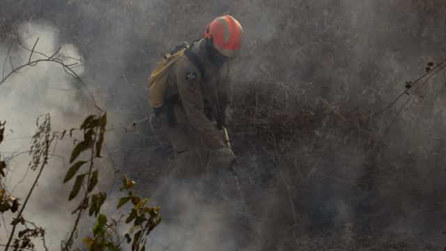 Força Nacional combaterá incêndios florestais e queimadas no Amazonas