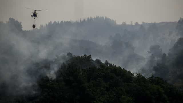 Onda de calor na Europa faz Portugal reviver trauma de incêndios que mataram mais de 100