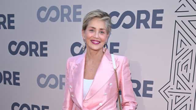 Aos 64 anos, Sharon Stone surpreende fãs com fotografia em topless