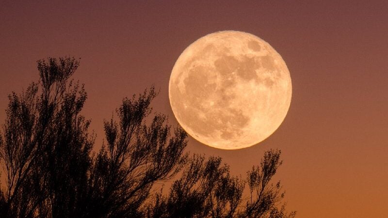 É hoje! Superlua desta noite será 15% maior e mais brilhante