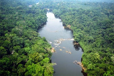 MP quer derrubar decisão que anulou decreto que cria Parque Cristalino 2 no Nortão