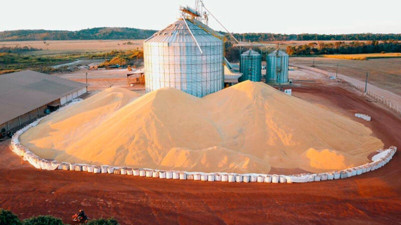 Soja disponível em Mato Grosso aumenta e média é de R$ 160