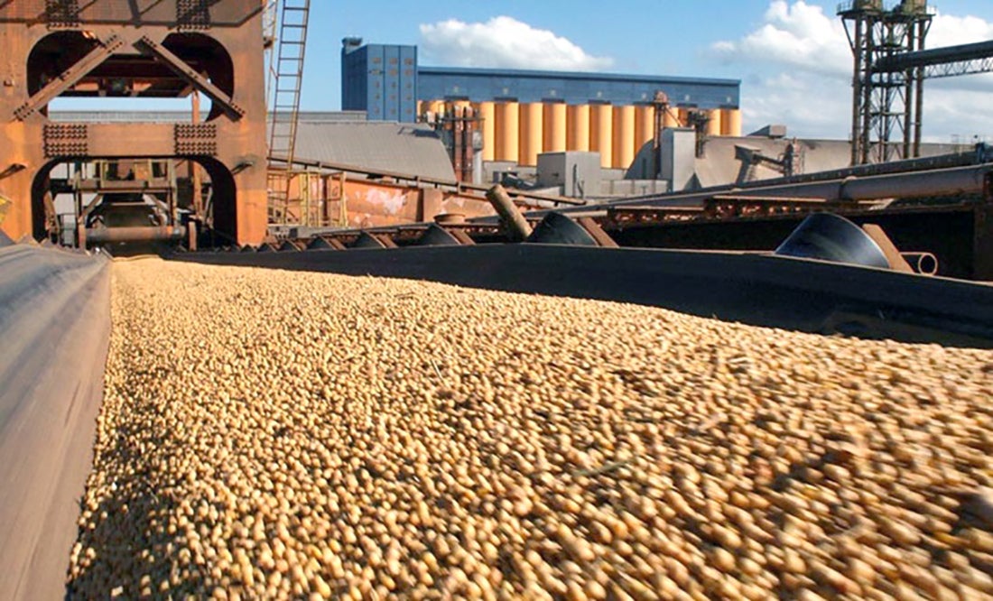 Esmagamento de soja em Mato Grosso cresce 4,5%