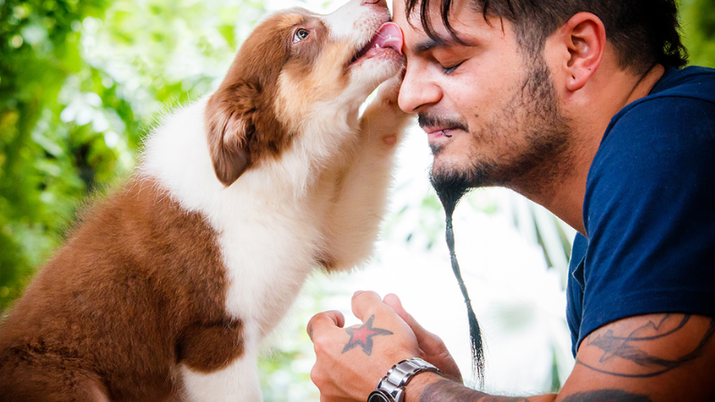 Empatia canina: cães sentem o que donos estão sentindo, comprova estudo