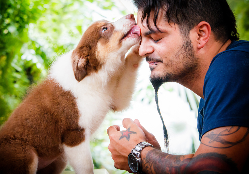 Empatia canina: cães sentem o que donos estão sentindo, comprova estudo