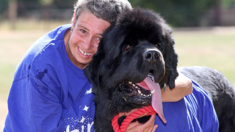 Cão adotado consegue ‘farejar’ câncer de mama na tutora. ‘Me salvou’