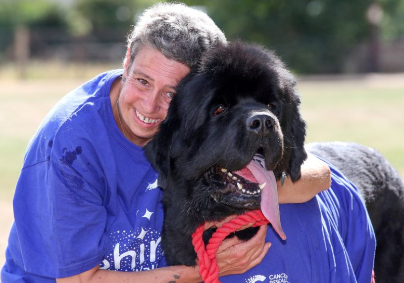 Cão adotado consegue ‘farejar’ câncer de mama na tutora. ‘Me salvou’