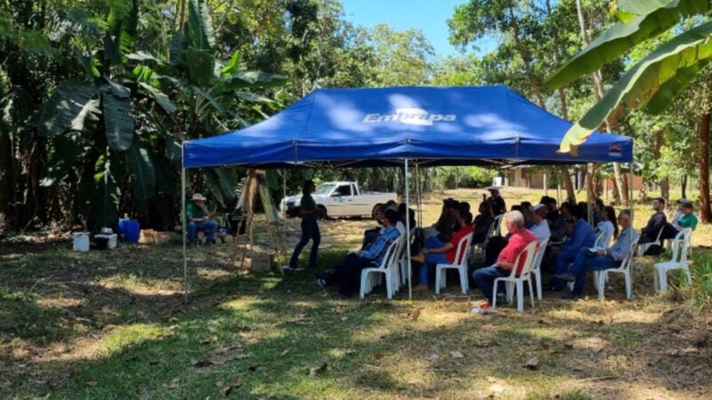 Embrapa Sinop promove capacitação abordando Plano ABC+ e sistemas integrados de produção agropecuária