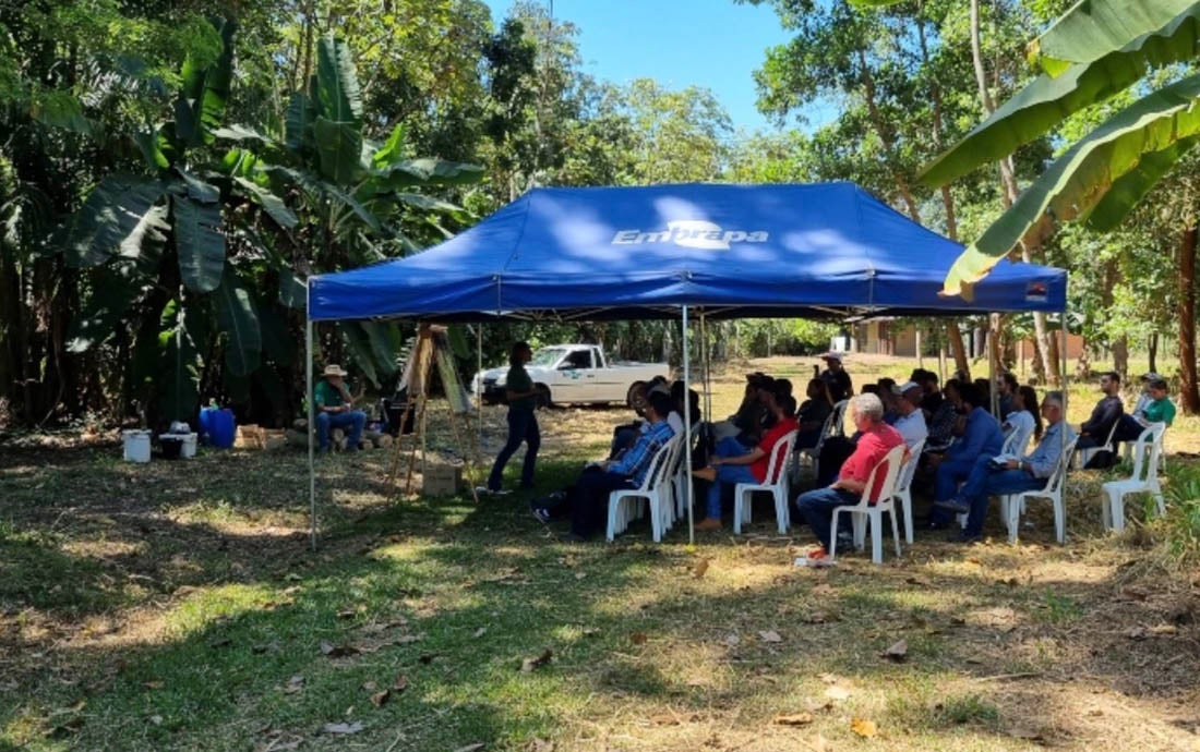Embrapa Sinop promove capacitação abordando Plano ABC+ e sistemas integrados de produção agropecuária