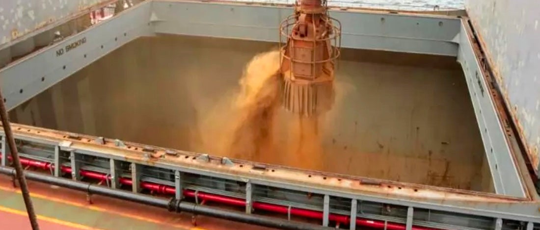 Exportações da soja de Mato Grosso tem leve queda; China aumenta volume de compra