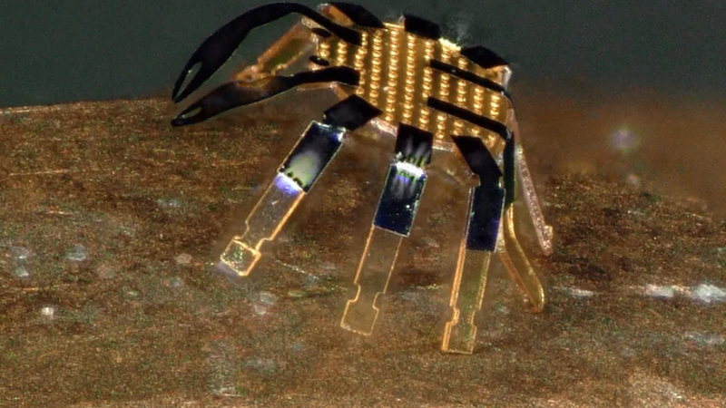 Menor robô do mundo poderá eliminar tumores e limpar artérias entupidas