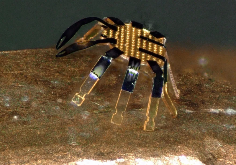 Menor robô do mundo poderá eliminar tumores e limpar artérias entupidas