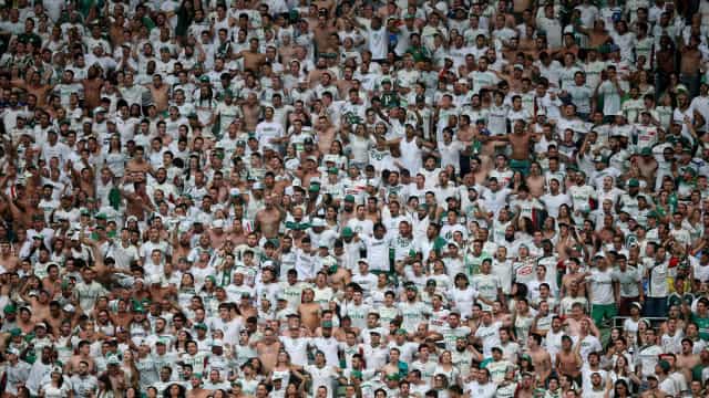 Palmeiras repudia agressão, mas critica torcedor atacado no Allianz