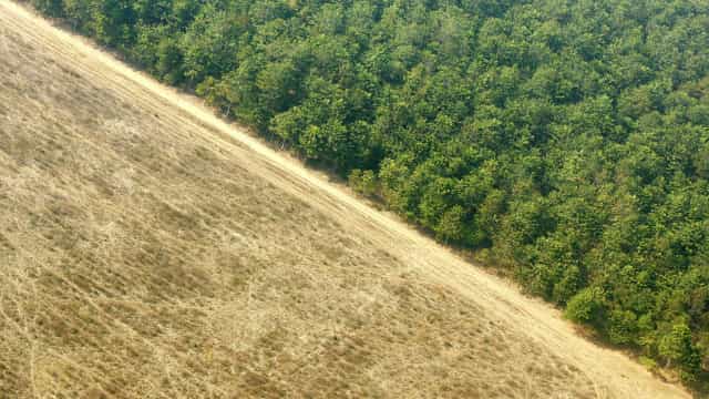 Amazônia tem mais de 3 milhões de km de estradas não oficiais, indica estudo