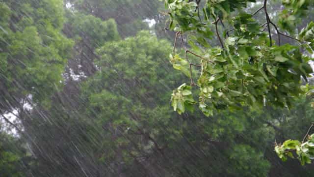 Cidades gaúchas sofrem com destruição provocada por vendaval de até 120 km/h