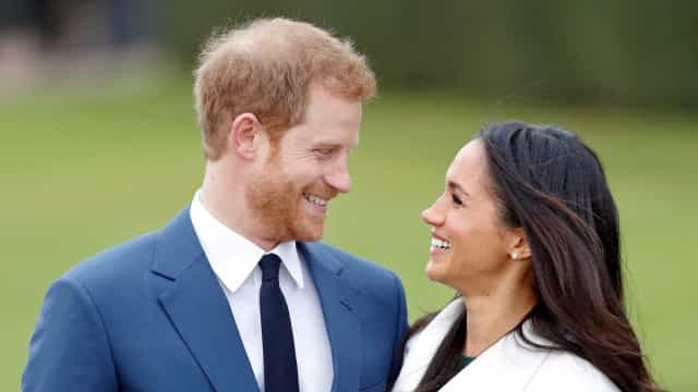 Meghan Markle e príncipe Harry adotam beagle que era maltratado