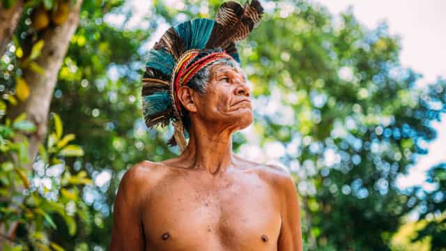 Indígena que vivia isolado há 26 anos é encontrado morto na Amazônia