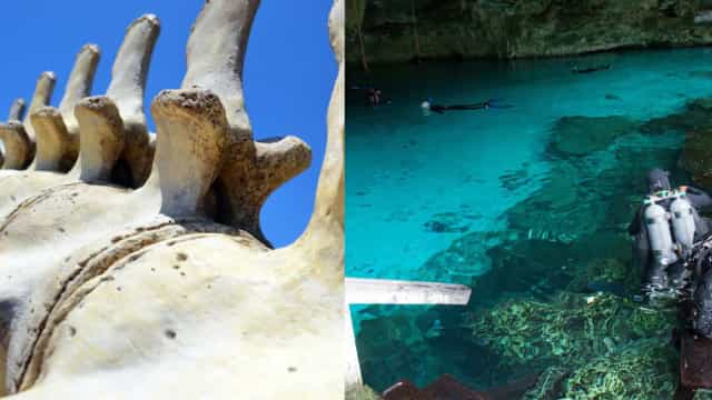 Descobertas bizarras encontradas em lugares mais que inesperados