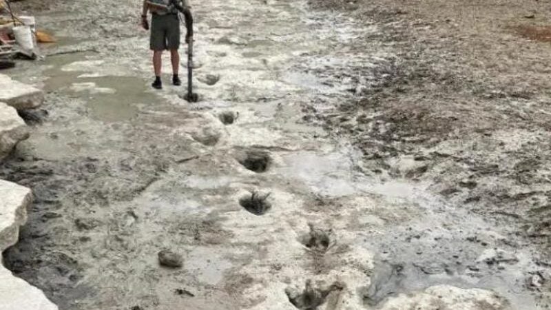 Rio seco revela pegadas de dinossauros de 113 milhões de anos