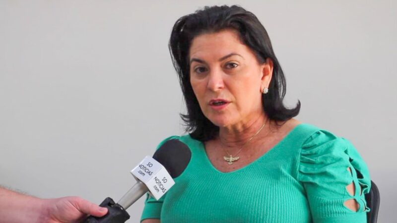 Prefeitos do Nortão articulam para Rosana Martinelli ser suplente de Wellington