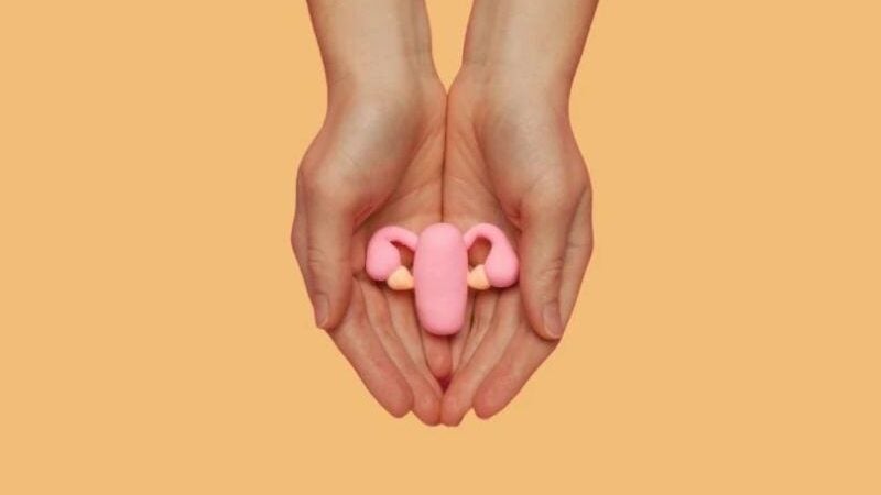 Mulheres poderão fazer laqueadura sem pedir autorização do marido