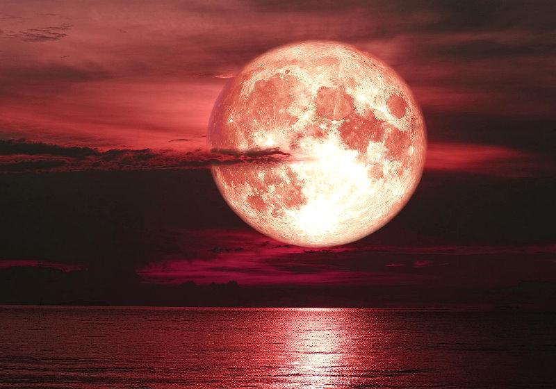 Agosto terá a última Superlua do ano e 2 chuvas de estrelas cadentes