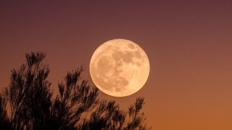 É hoje! Última superlua do ano aparecerá maior e mais brilhante