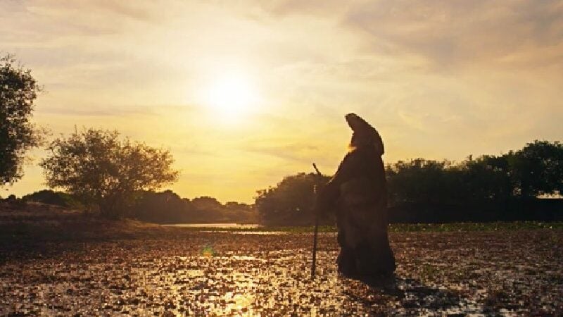 “Véio do Rio” chora por envenenamento das águas do Pantanal: “até quando?”