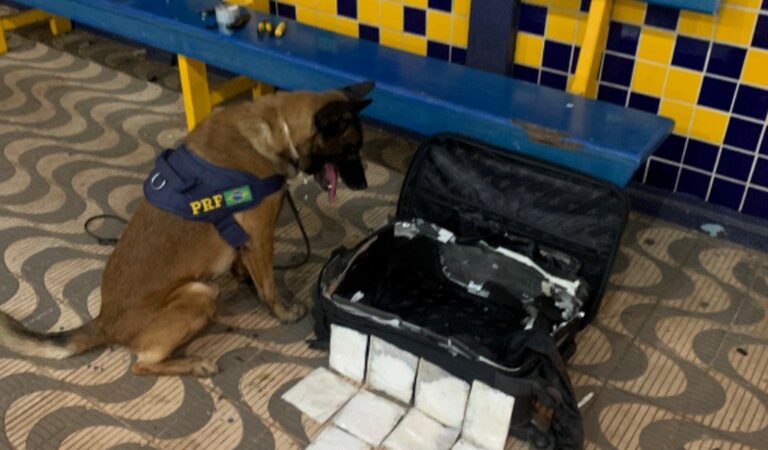 Cocaína é apreendida em bagagem de passageira de origem estrangeira