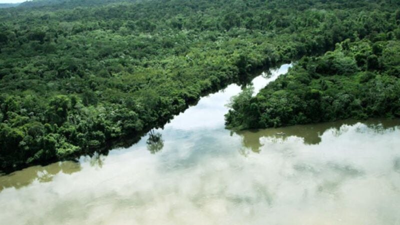 Joia da biodiversidade, Porque Estadual Cristalino II abriga espécies raras