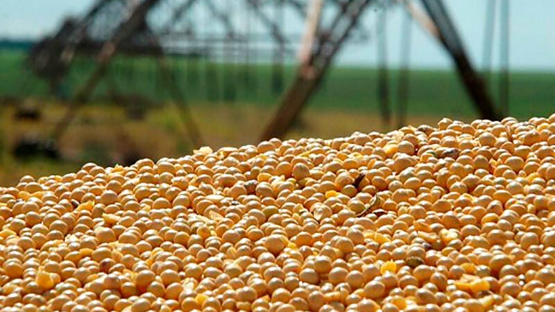 Soja disponível em Mato Grosso sobe 3,5% e média vai a R$ 162