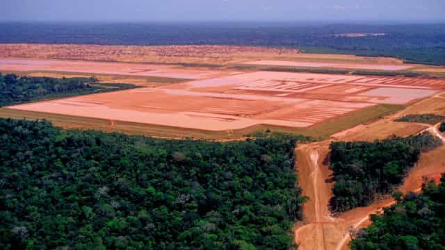 Desmatamento na Amazônia explode em agosto e alcança 2ª maior marca já registrada