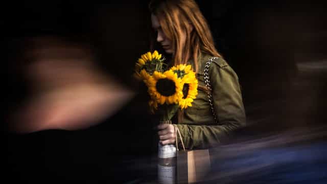 Homenagens à rainha lotam Londres de flores, e ursinhos não são bem-vindos