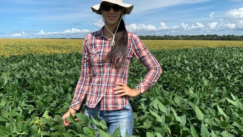 Área de soja convencional cresce quase 35% em Mato Grosso