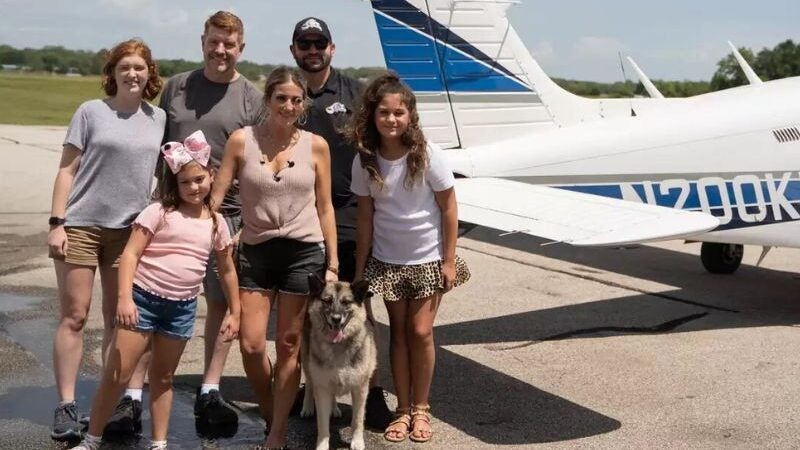 Roubada há 5 anos, cachorra viaja mil km e volta para sua família